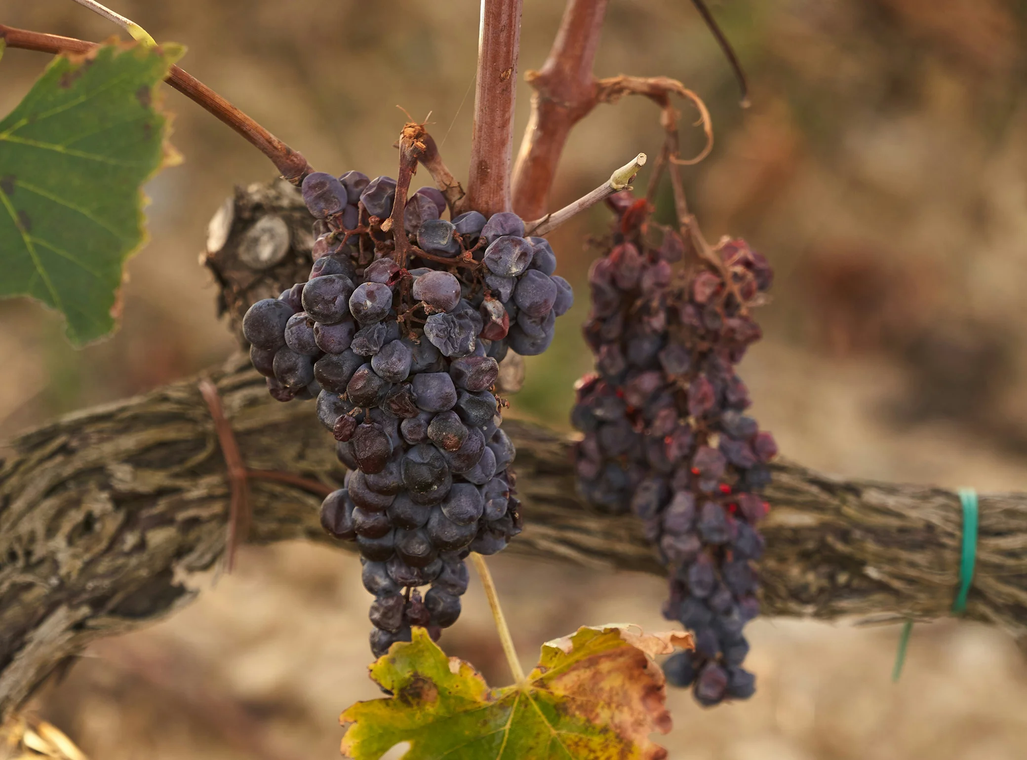 tourism highlight item img2